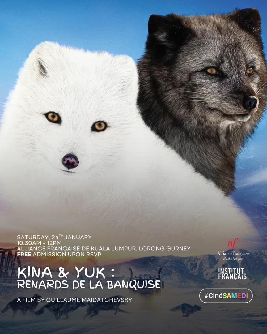 Ciné-Samedi : Kina & Yuk - Renards de la Banquise